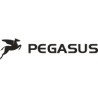 Pegasus